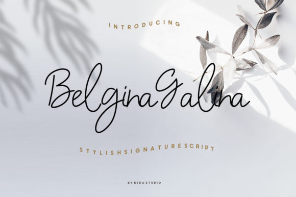 Belgina Galina Font for Business Branding and Design