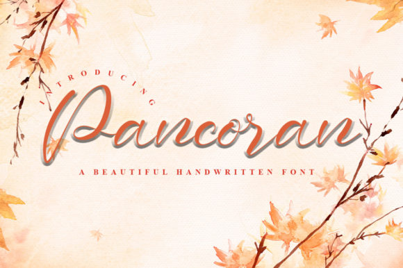 Pancoran Font for Professional and Memorable Branding