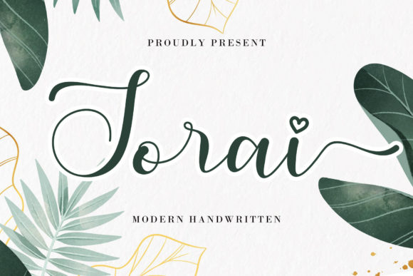 Sorai Script Font for Editorial Design and Branding