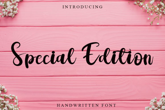 Special Edition Font for Web Design and Branding